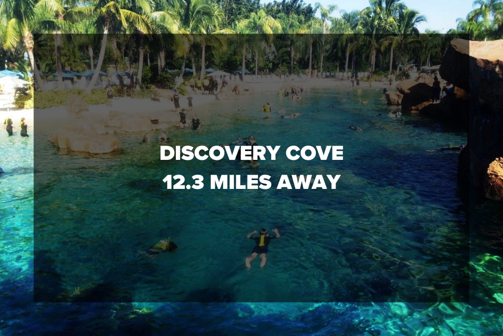 Mileage Discovery Cove
